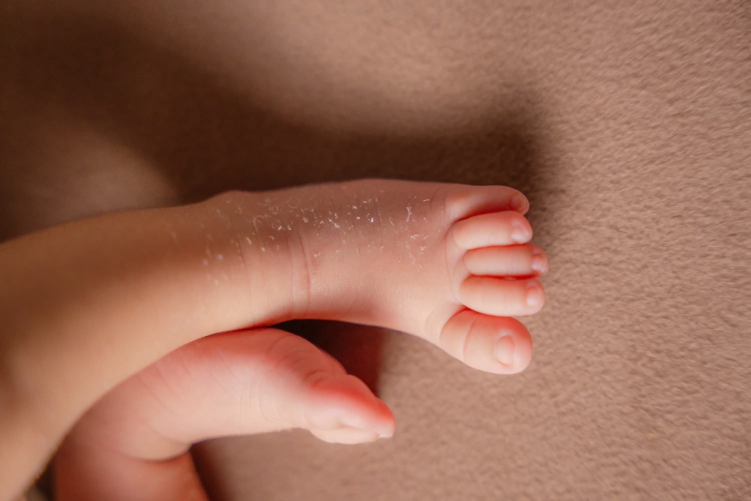 Gentle newborn photography session